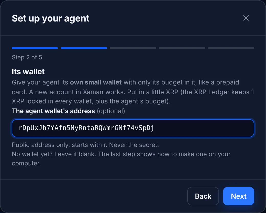 Step 2: the agent's own wallet address